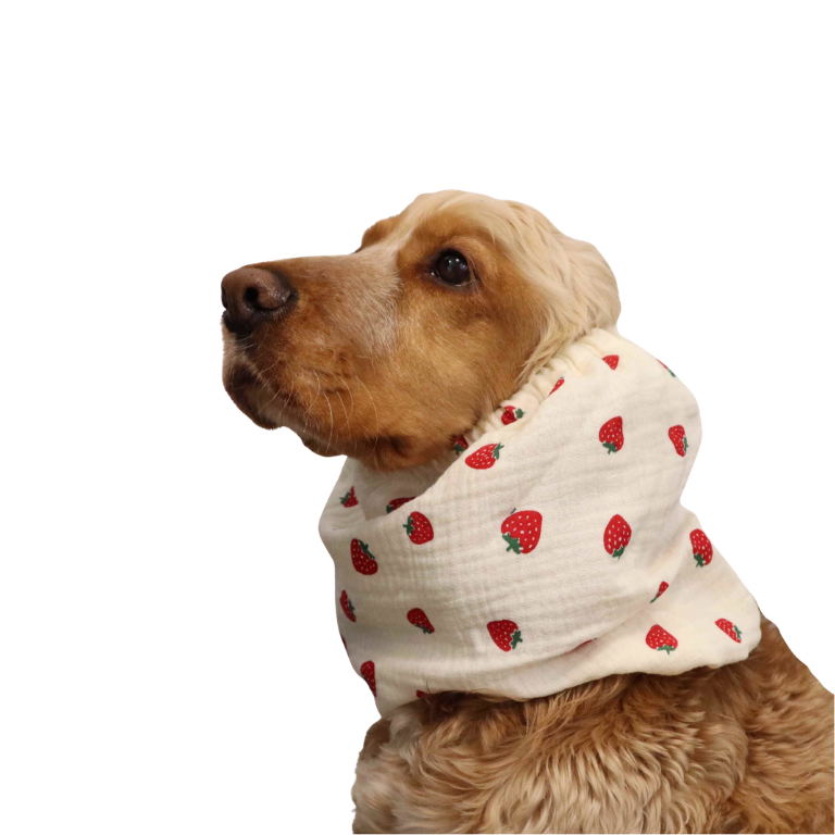 Snood fraise