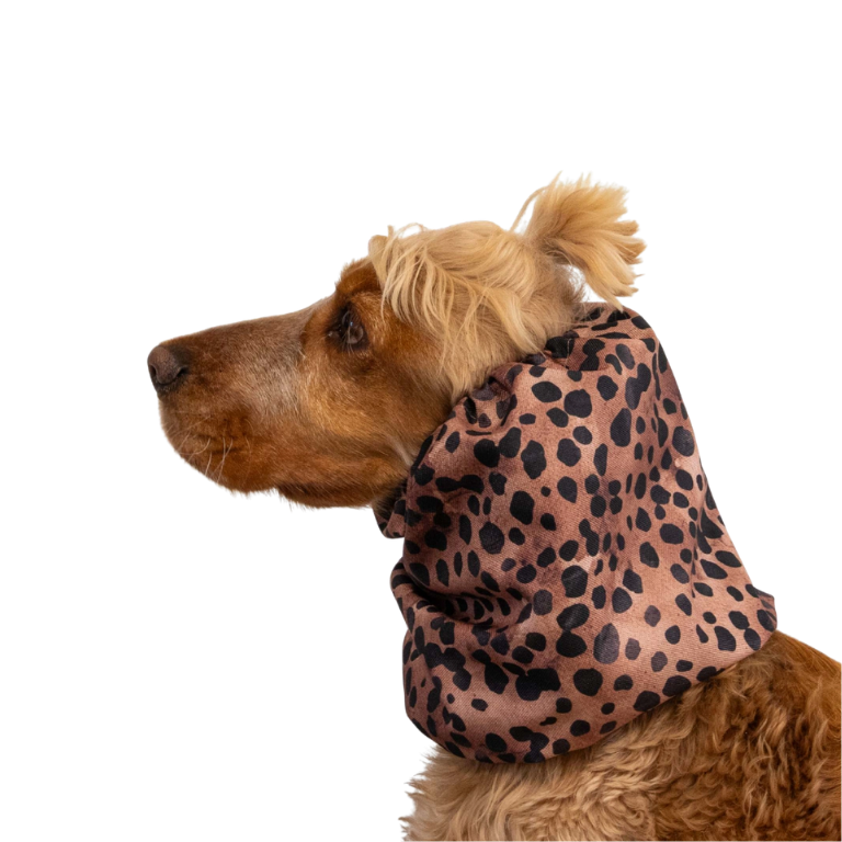 Snood_Leopard