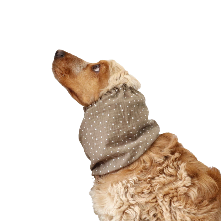 Snood marron à pois