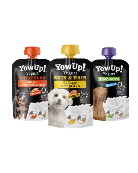 Yaourt à boire pour chien - Yow up