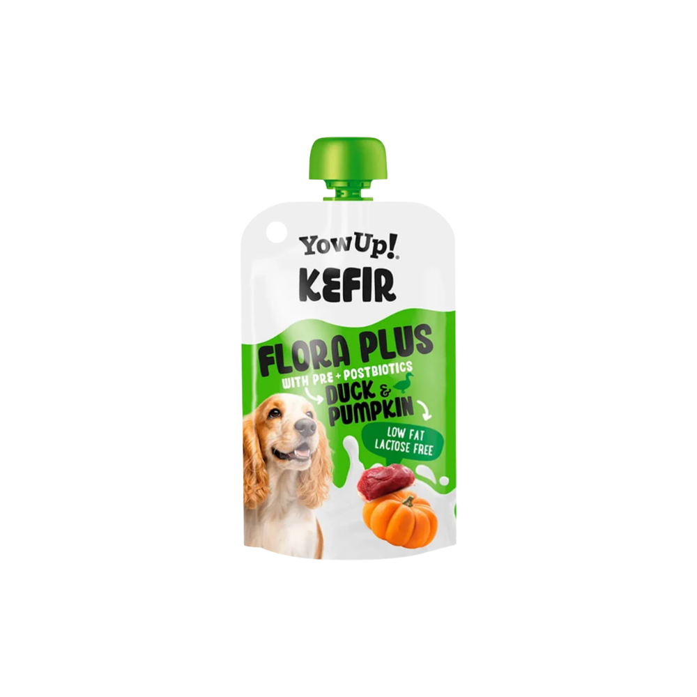 Yaourt à boire pour chien, kéfir au canard et potiron YowUp