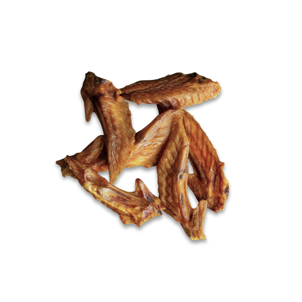 ailes de poulet, mastication pour chien