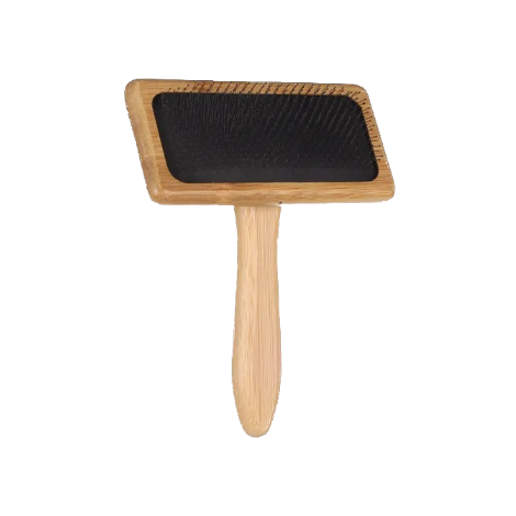 Grande brosse à picots incurvés