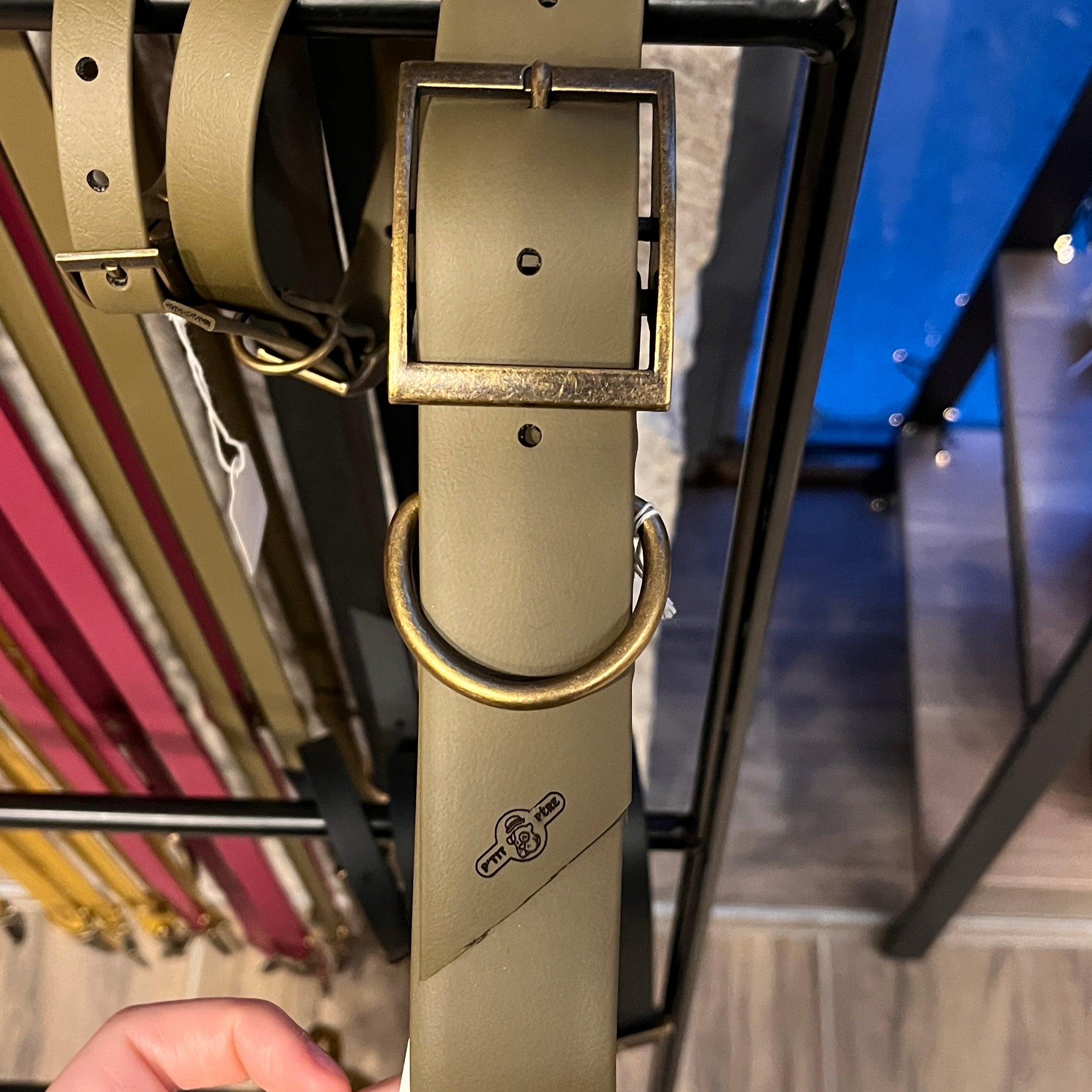 collier pour chien en biothane couleur olive