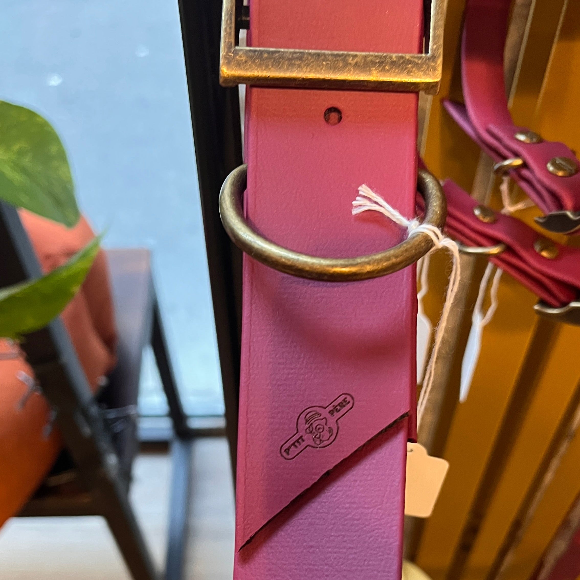 collier pour chien en biothane couleur prune