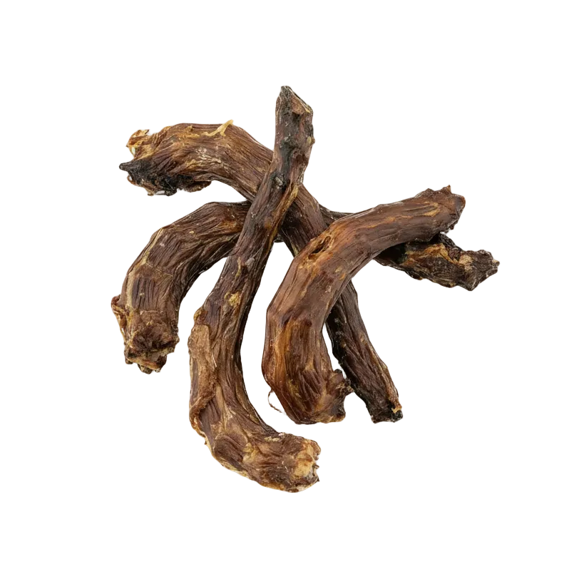 Cous de dinde, mastication pour chien