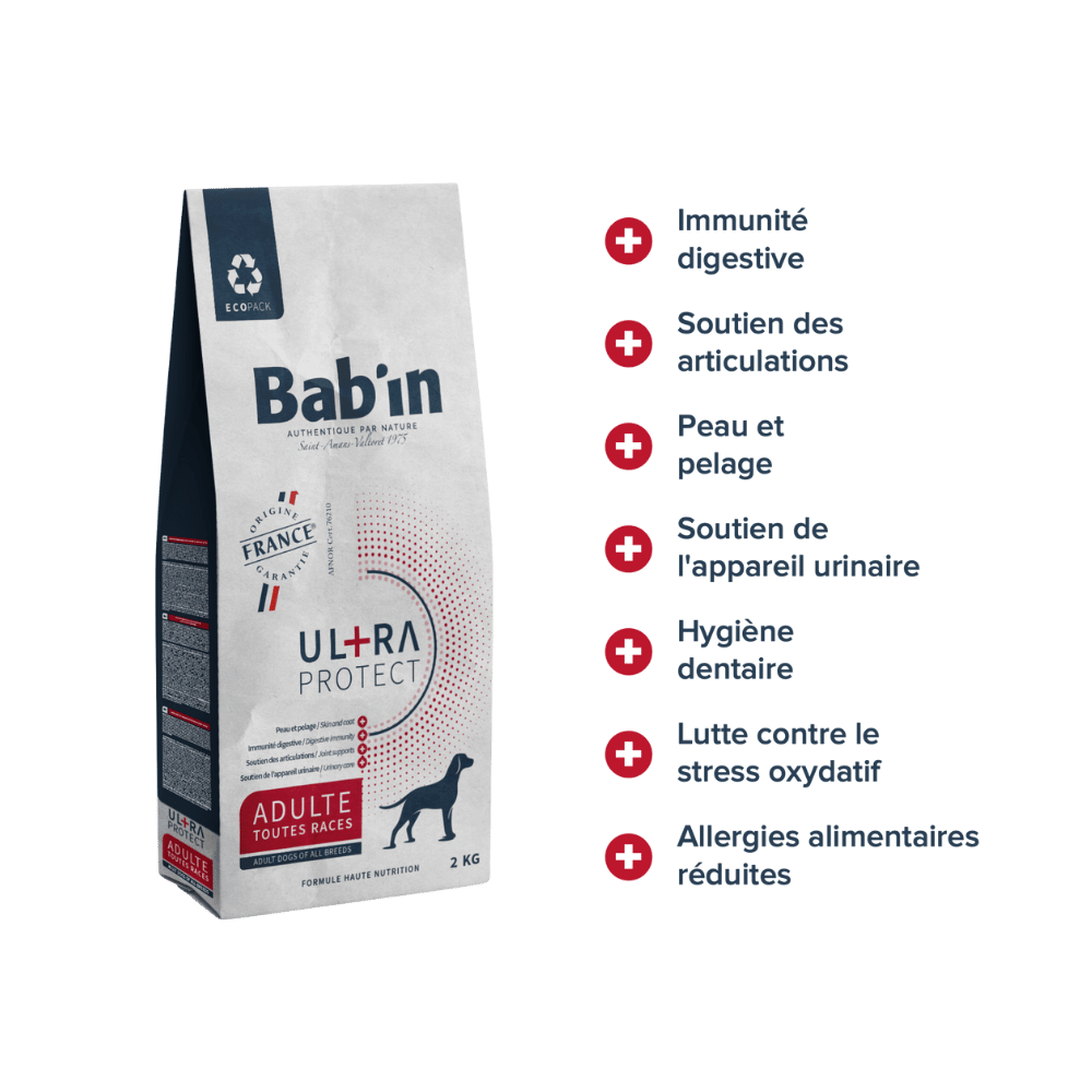 Bienfaits des croquettes Bab'in ULTRA Adulte : Protéines premium et immunité