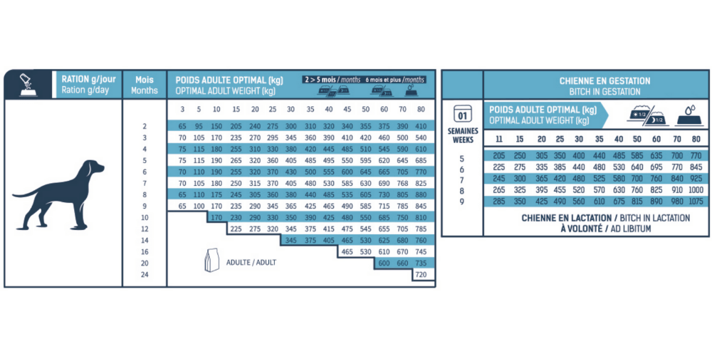 Ration pour les croquettes Bab'in ULTRA Junior : Soutien Articulaire et Immunité Chiot