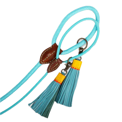 Laisse turquoise - Dog with a mission