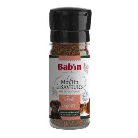 Moulin des Saveurs - Truite & Algues