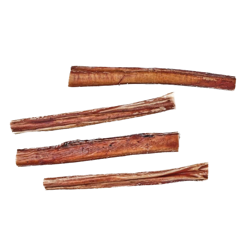 nerfs de boeuf, mastication pour chien