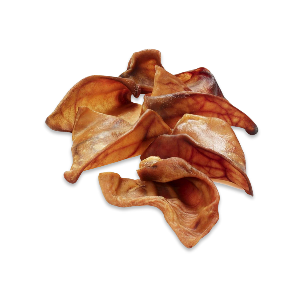 Oreilles de porc, mastication pour chien