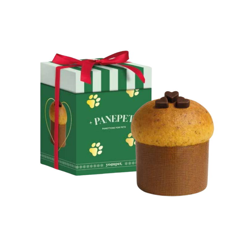 Panetton pour chien avec coffret de couleur verte