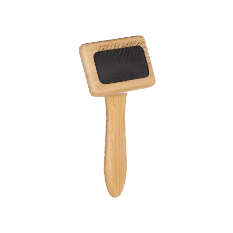 Petite brosse à picots incurvés