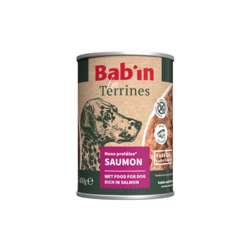 Terrine en conserve au saumon 400G bab'in