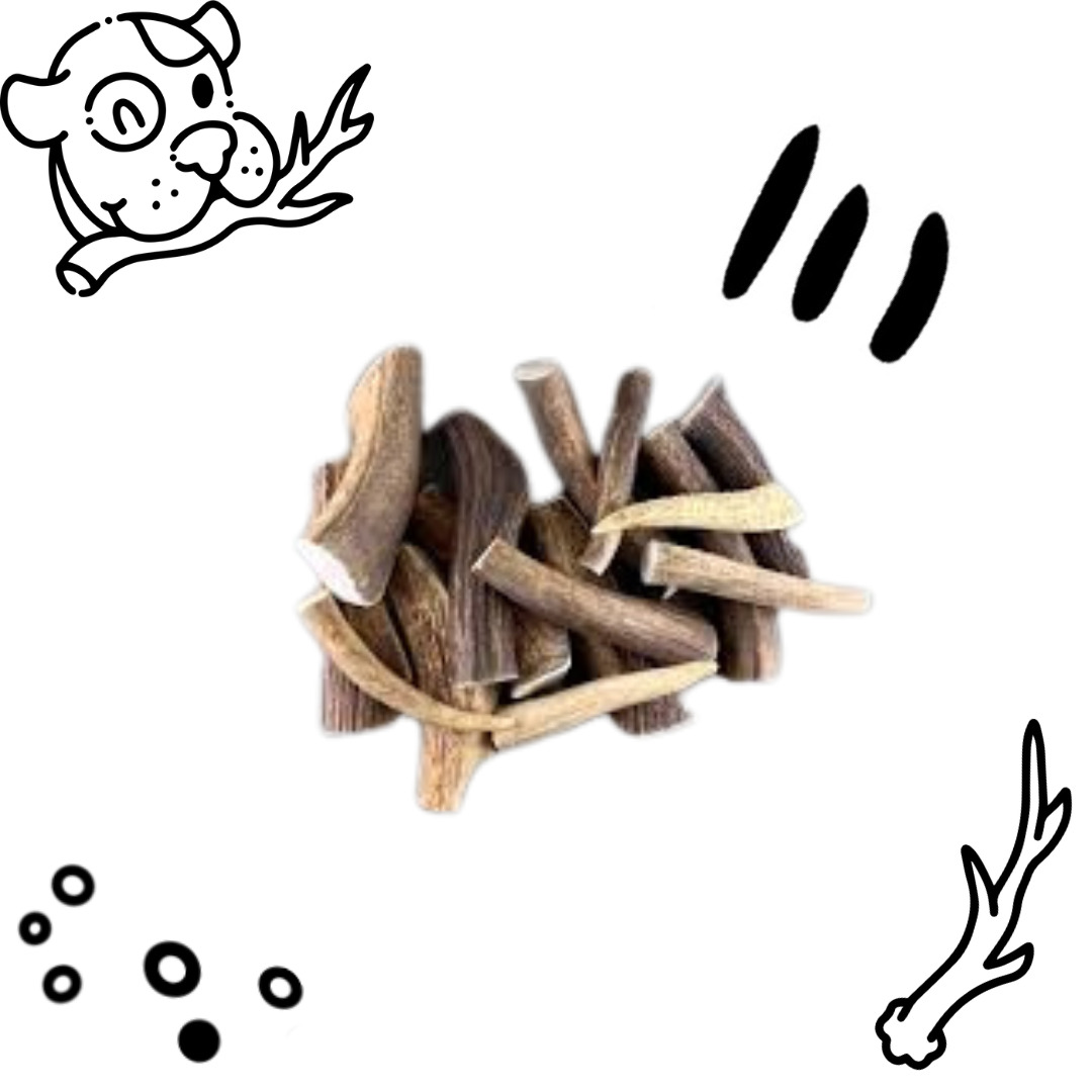Poudre de bois de cerfs -Complément alimentaire appétant