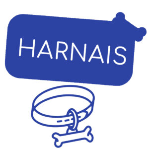 Harnais